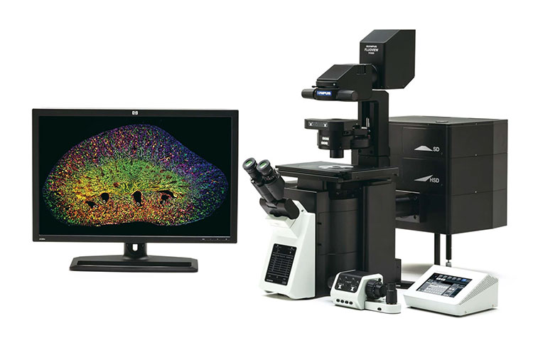 Лазерный сканирующий конфокальный биологический микроскоп