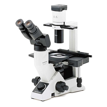 Инвертированные микроскопы Olympus CKX31 / CKX41