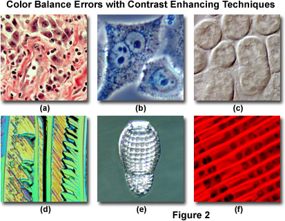 www_microsystemy_ru_articles_Color_Balance_in_Digital_Imaging_Systems
