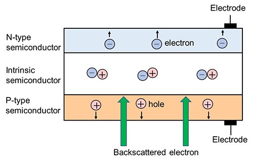 детектор обратно-рассеянных электронов.jpg