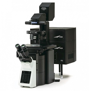 Купить или заказать Конфокальный лазерный сканирующий микроскоп Olympus FV3000 Fluoview в компании Микросистемы, тел.: +7 (495) 234-23-32